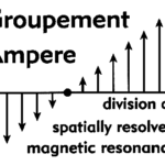 Logo of the SRMR